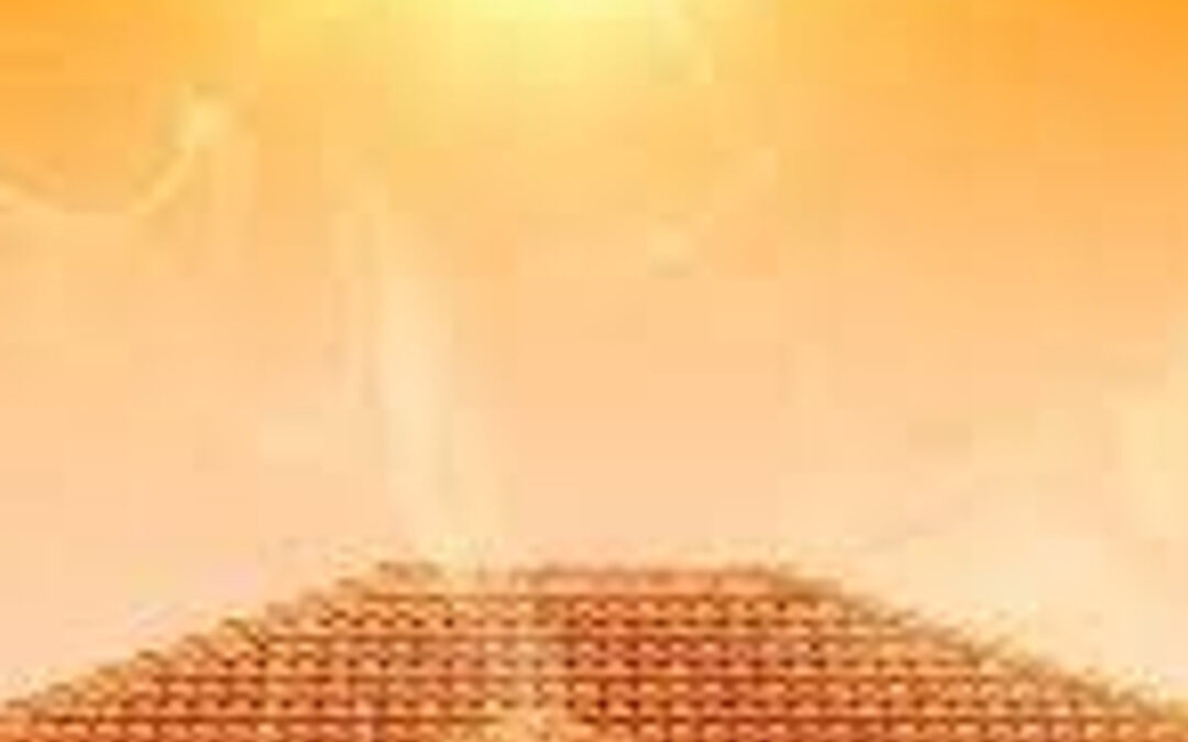 Keeping your Home Happy in the Heat!